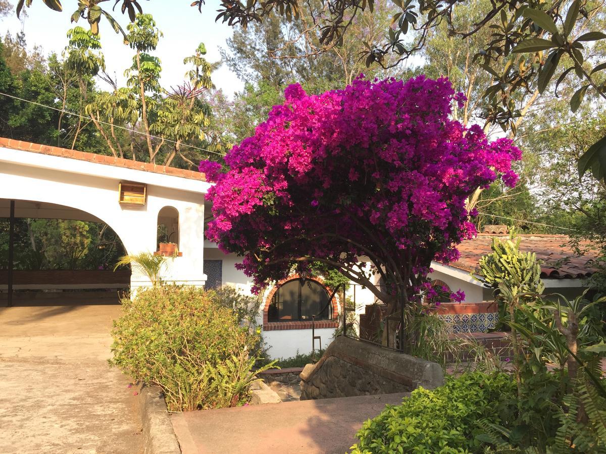 Villas Bellavista Cuernavaca Ngoại thất bức ảnh